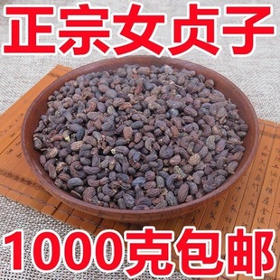 Ůؑ����ș��Ůؑ��Ůؑ������Ůؑ�Ӻ�ɏ�ݽM�Ϻ��מ�