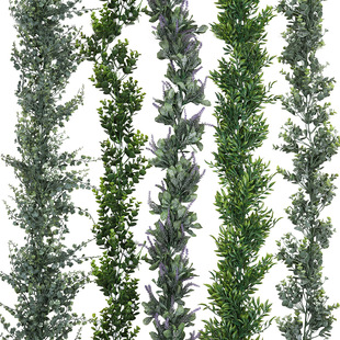 �ٿ�ٻ��ٗl�羳���_�m������ٻ�ܛ�b�Ҿ��b��ȼ��������ҹ��S