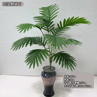 ֲ����þGֲ�ٻ�����ֲ���Ʒ���B�[���F���~�m�����쾰��Ʒ