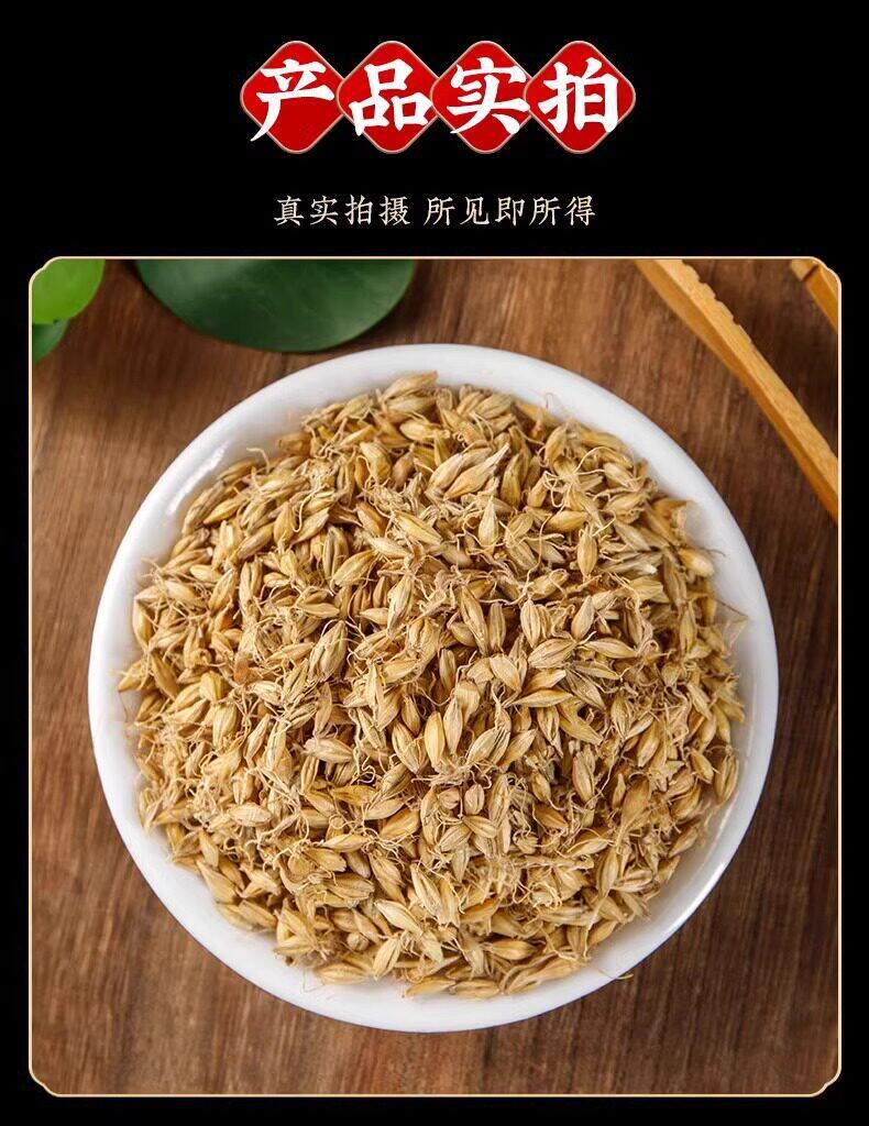 Raw Mai Ya Dried Barley Sprout Grain for Herbal Decoction and Tea 500g in use