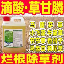 32%����ݸ��׳��ݠ�������Ʒ���݄����s�ݜ������rș����ݸ��