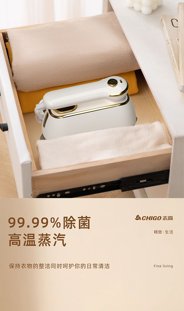 Zhigao handheld steamer, ceramic plate, high power