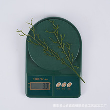 �S��ֱ�N �����֦�����֦�������ɺ��֦ �}�QPE�}�Q���~����