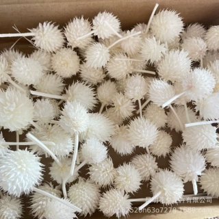 批发白色草莓果漂白和尚头工艺品装饰真花DIY手工花材