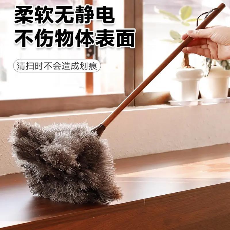 Camel feather duster with walnut handle [about 60cm]