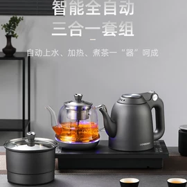 电热杯;电茶炉;电动煮茶器