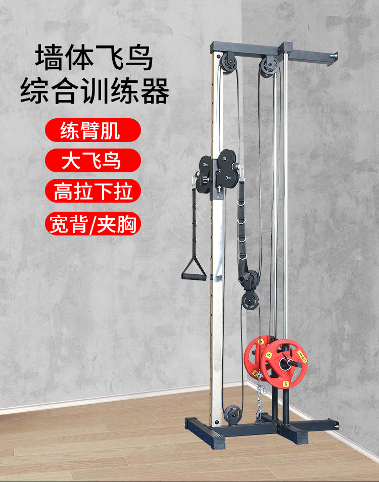 墙体飞鸟刘_01.jpg