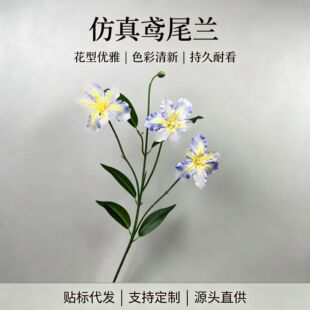 �߷����Sβ�m��֦�Ƶꙻ������쾰��ˇ�F�z�U�����Ͷ�ɫ���x