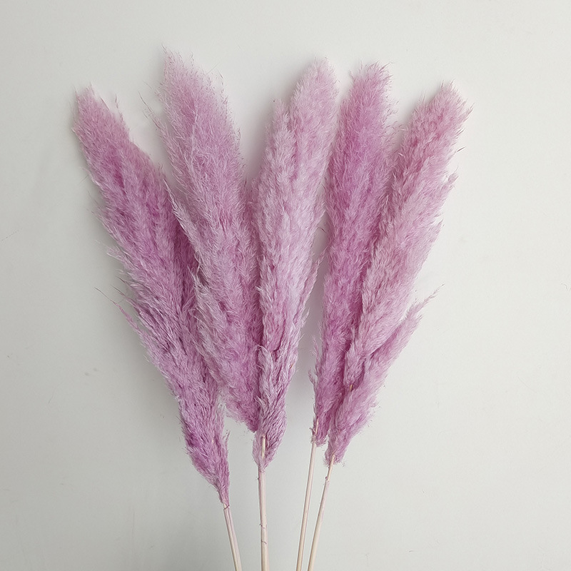 (16)5 꽃 스파이크 70-80cm 전체 길이 약 140cm