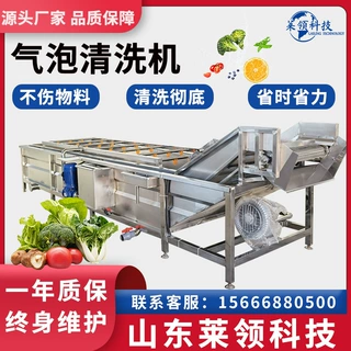 全自动竹笋气泡清洗机 不锈钢辣椒清洗机器 喷淋式果蔬清洗设备