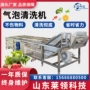 自动气泡喷淋果蔬清洗机