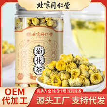 北京同仁堂胎菊菊花茶花茶搭金丝皇菊泡茶金丝皇菊金丝菊批发代发
