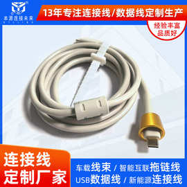 无人机数据线type-c商用机器人线束注塑抗干扰磁环信号连接线定制