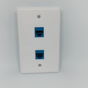Double-Port American Network Panel, RJ45 welding-free in-line panel CAT. 6 Network Panel