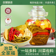 �ݽ��ݽ��ݶ��G�l���\�����н�������С����ȫ�Ҹ��Ĵ��ݲ�������