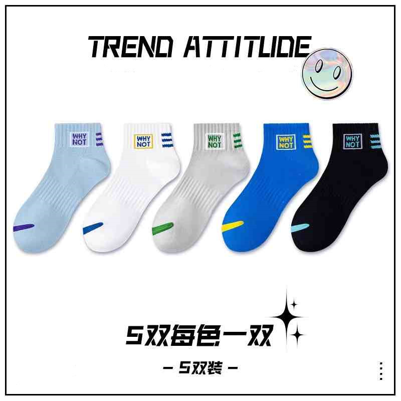 【2441-NOT】혼합 색상