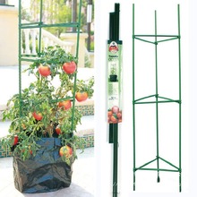 西红柿番茄黄瓜爬藤支架包塑圆柱钢管支撑植物固定园艺阳台种植架