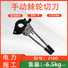 �Cеʽܛ�|��|���ྀ�Q�����~о�z�b�Д����քӼ�݆�е�J100