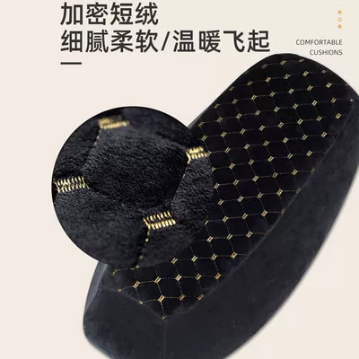 Motorcycle cushion: Cover, Electric Bike Fleece