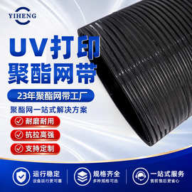 定制聚酯造纸螺旋网塑料网布压榨机传送带塑料链条传送网带输送带