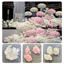 �۰�ɫϵ��c���滨�nʽ��ɫ��Y�bA�����Y�F������·��