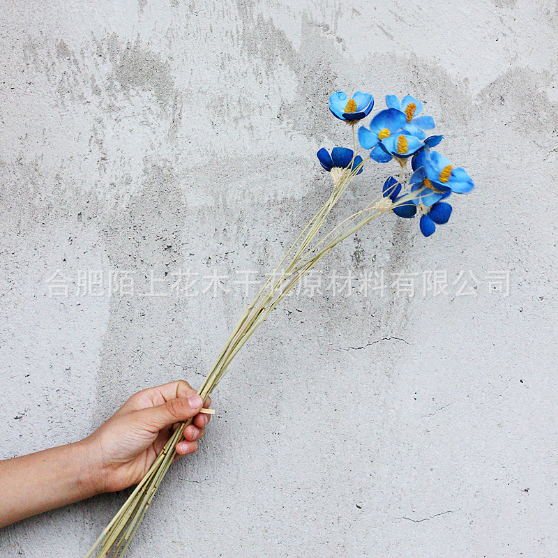 블루(12개들이 1다발)