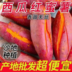赤いハートのサツマイモ、広西チワン族自治区巴馬長寿郷、新鮮なサツマイモの箱、砂糖入りサツマイモ、スイカ、赤い香りのよいサツマイモ