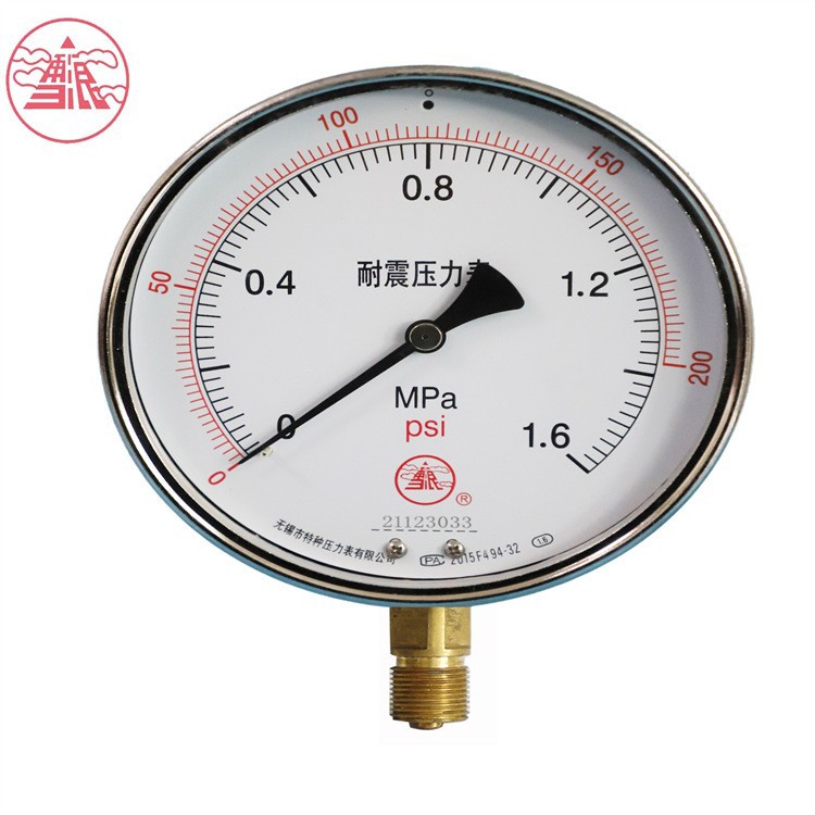 雪浪特种仪表 60耐震压力表液压防抖水压跨境专供高压不锈钢psi