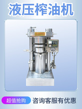 批发立式液压机全自动多功能商用中小型不锈钢香油机芝麻核桃仁榨