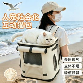 猫猫包、箱;猫猫玩具;猫厕所