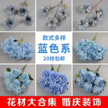 �{ɫ������Y���滨�ѻ�ĵ��õ�彑���c�F�����üٻ�·���b�