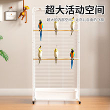 ͸�����B�\�Ӽ��ô�̖��Ƥ�W�^���A�e���������P���÷�ֳ�˸网��