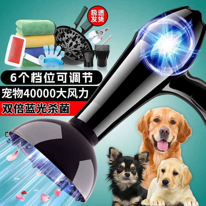 Фен для домашних животных с высокой мощностью ветра для собак, собак и кошек малого и среднего размера, артефакт для купания, сушки и выдувания волос, воздуходувка для воды