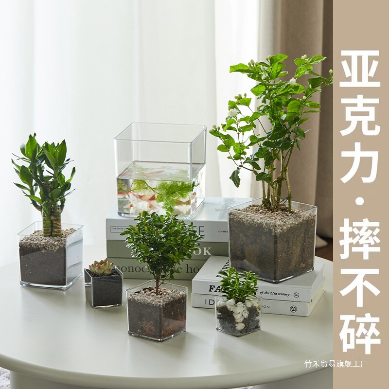 加厚透明亚克力花盆正方形水培绿植郁金香多肉花盆插花方缸摆件小|undefined