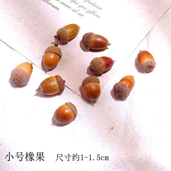 [小橡果10个-干花包]