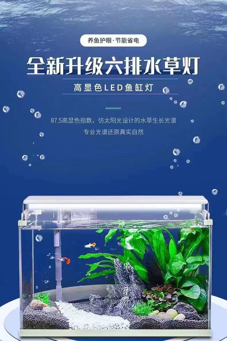 b9fc98ab-cfdd-45ca-8665-8d8566e95149.jpe