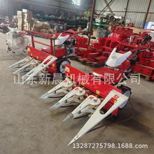 SGַC ߼JȔոC׽նC