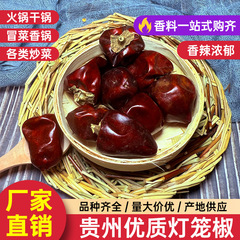 现货朝天辣椒灯笼椒贵州农家椒批发香辣香红餐饮串串火锅干红辣