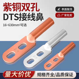 DTS双孔铜鼻子国标镀锡紫铜双眼堵油接线端子线耳16/25//50/70400