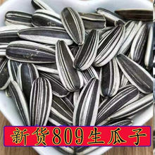 2023؛w໨ԭζخaζ؛l