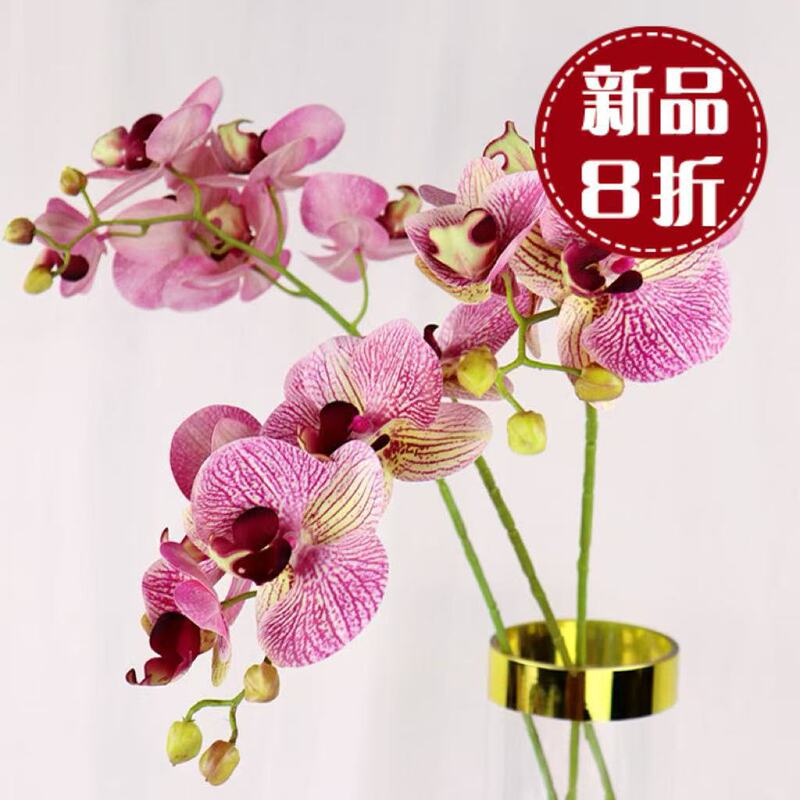 高仿真3d胶片手感蝴蝶兰 客厅摆件批发6头兰花假花造景婚房仿真花|undefined
