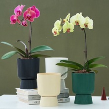 �¿�����m��������þG�}ʯ���m�߽Ǳ��W�L������֬����