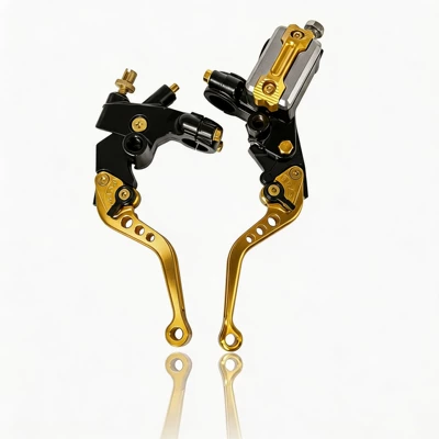 Motosiklet ləvazimatları və aksesuarları Cylinder Hj125T-6 Left Brake Assembly - gold