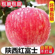 現摘當季陝西紅富士蘋果水果5斤冰糖心丑蘋果脆甜整箱10斤價批發