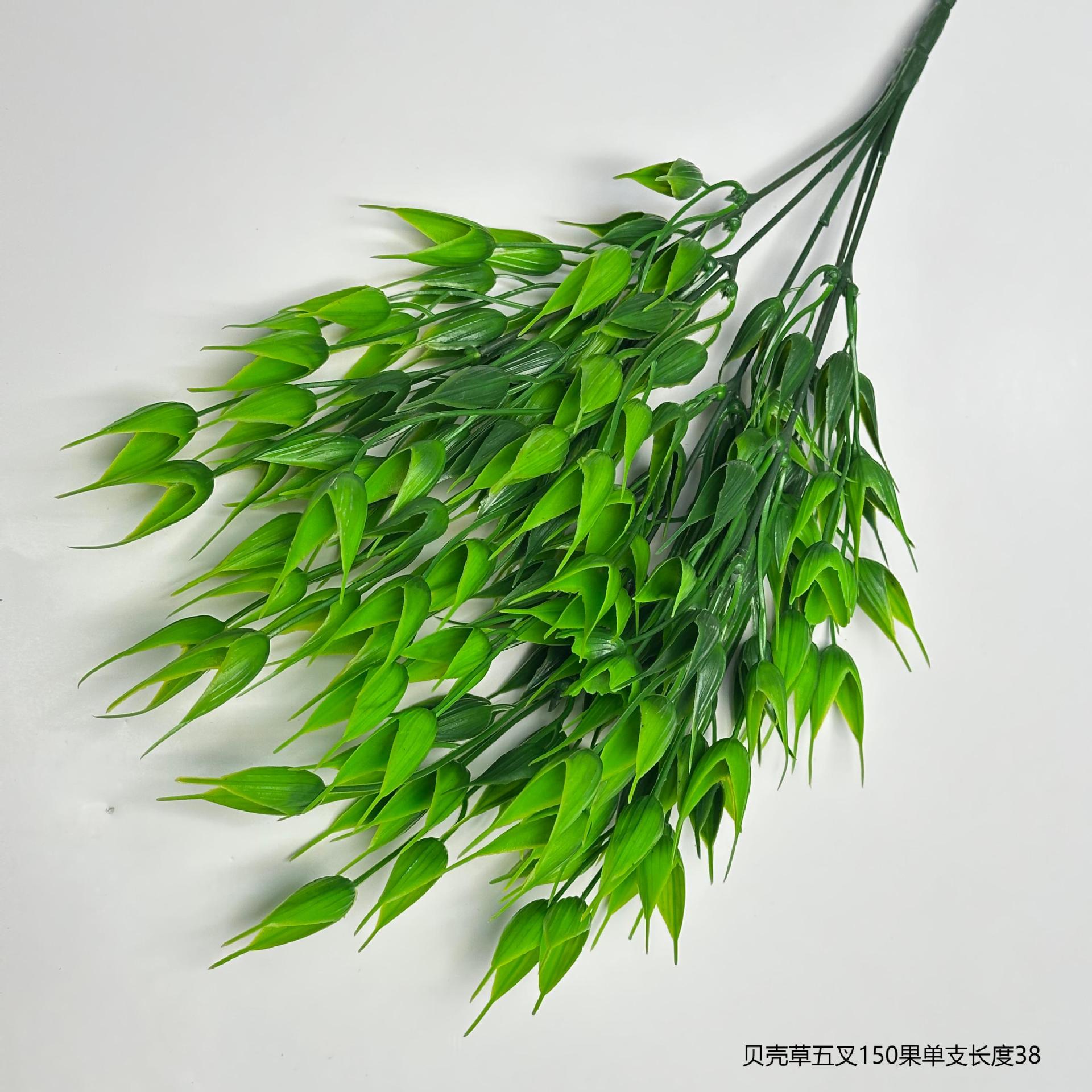 조개풀