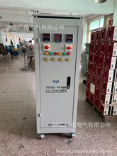 广伐大功率调压器 TESGZ-50KVA 调试充电桩专耐压测试