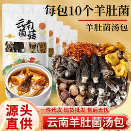 云南山珍特产菌汤包羊肚菌七彩菌菇汤料包松茸干货炖鸡煲汤食材