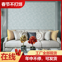 璧辉高精密无缝墙布 客厅卧室电视背景墙墙布家装建材璧布非墙纸