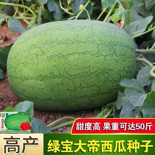 �G��������� �N�Ӵ���ز��¼t�ļ�����ˮ�����ͼt���Нh�GƤ