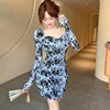 Long sleeved dress with printed base